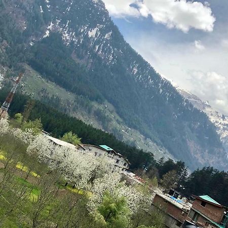 Drifter'S Inn & Cafe Manali  Exterior photo