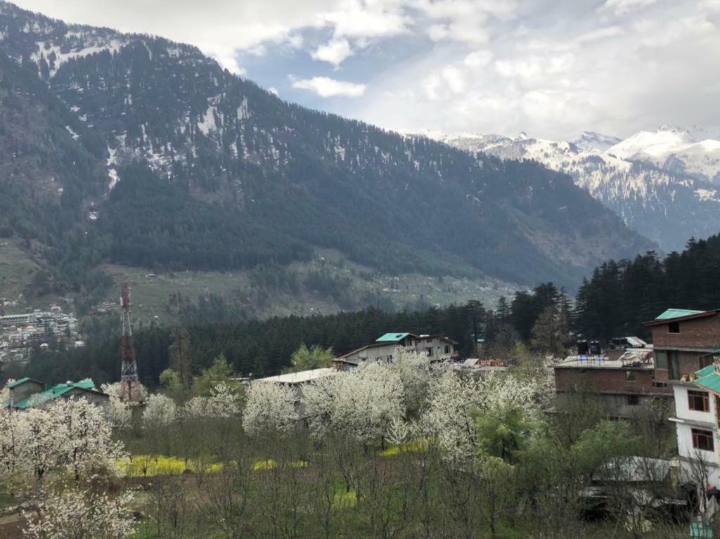 Drifter'S Inn & Cafe Manali  Exterior photo
